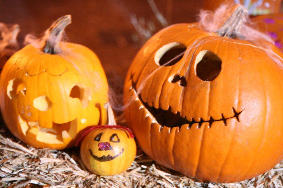 2019 Halloween Events Haunted Houses Corn Mazes Eugene