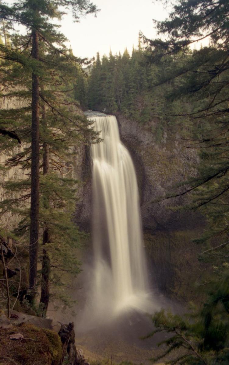 Snowshoeing Eugene, Cascades & Oregon Coast