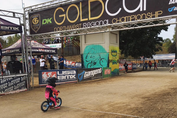 Bmx gold shop cup finals 2019