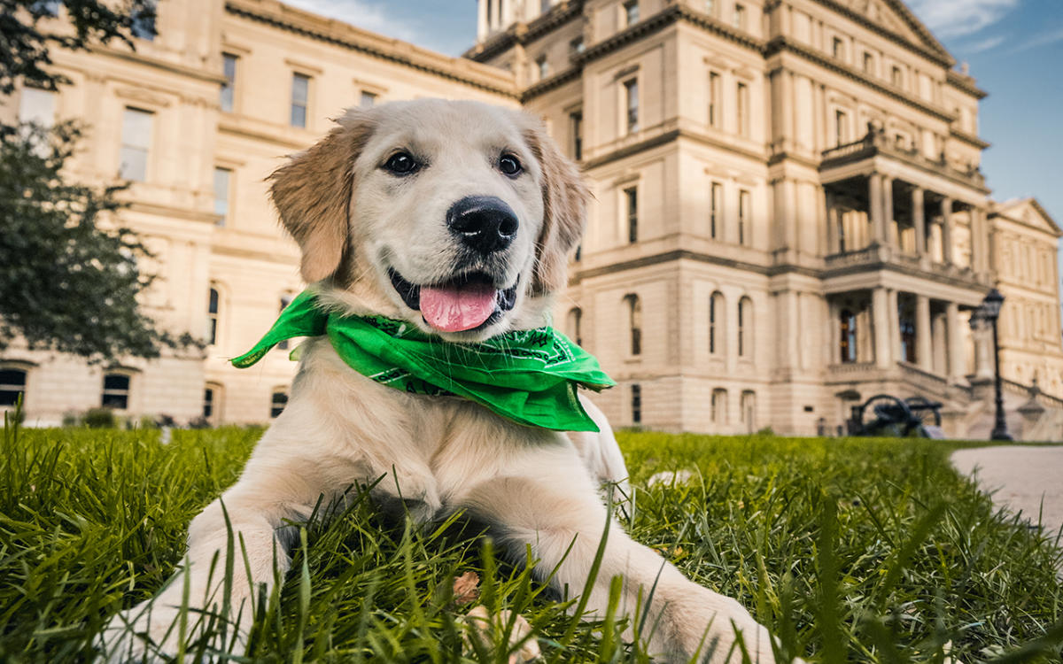 Pet Friendly Hotels Lansing, MI