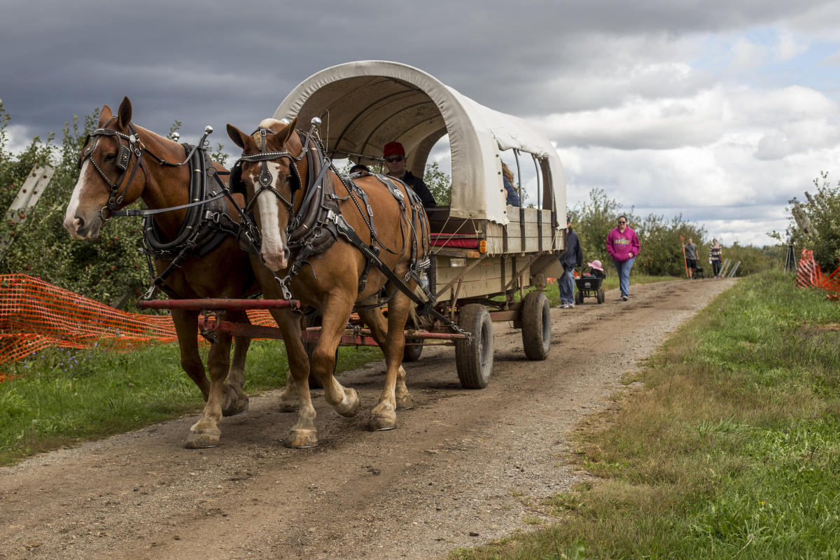 Family Farms & Markets Lansing, MI