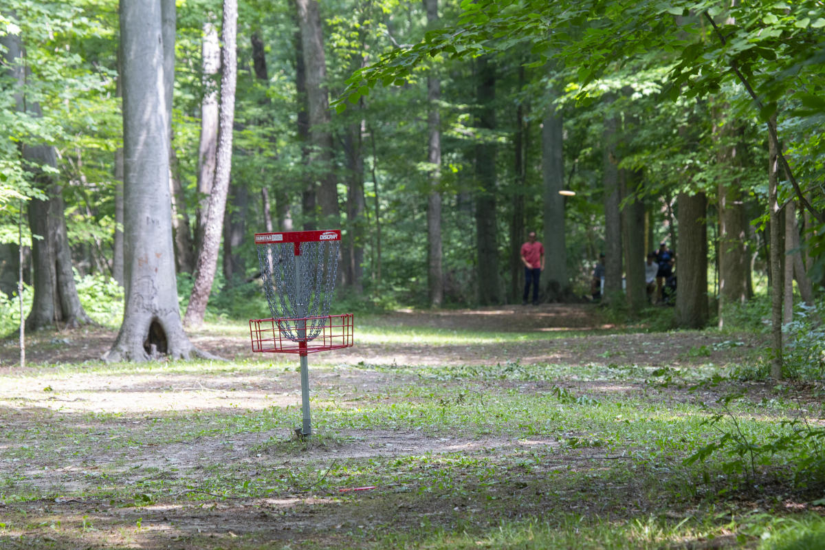 Disc Golf Lansing, MI