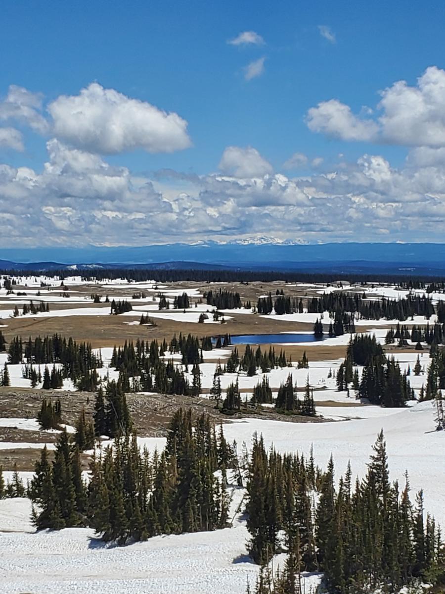 What it's Actually Like to Live in Wyoming Visit Laramie