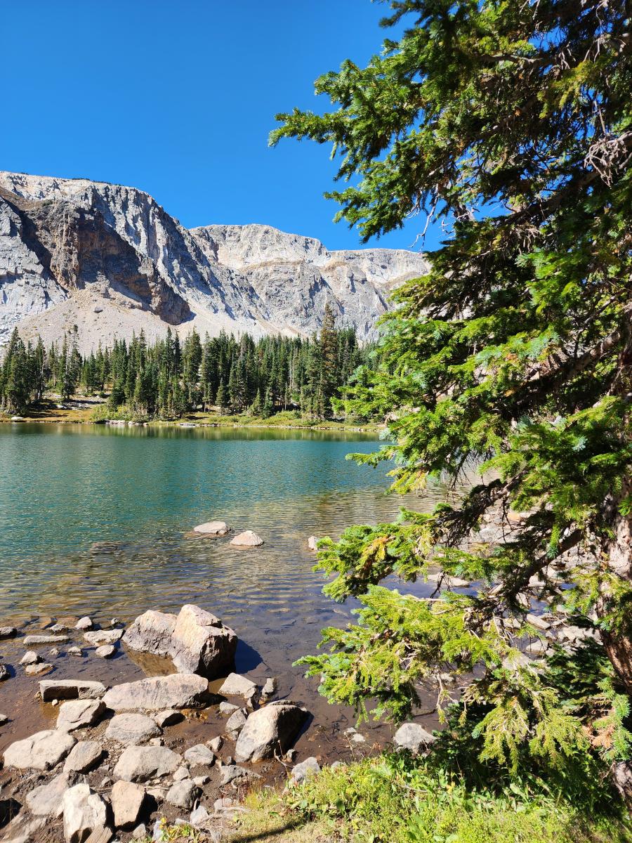 Top 5 Hiking Trails West of Centennial, WY Visit Laramie