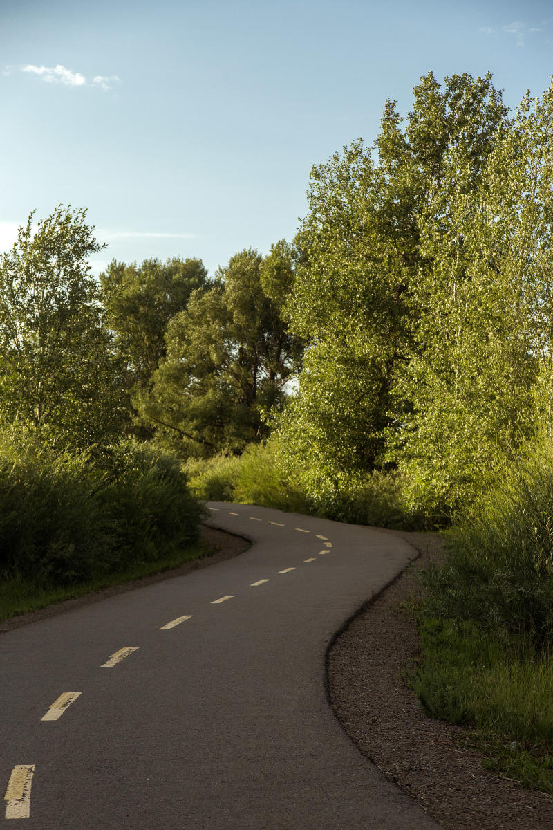 Green belt road clearance