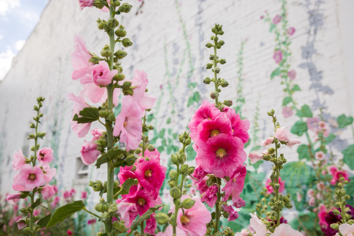 Hollyhock Commons Public Seating Area | Visit Laramie