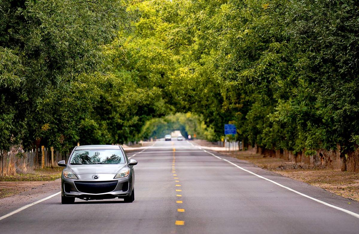 Travel & Transportation Visit Las Cruces, New Mexico