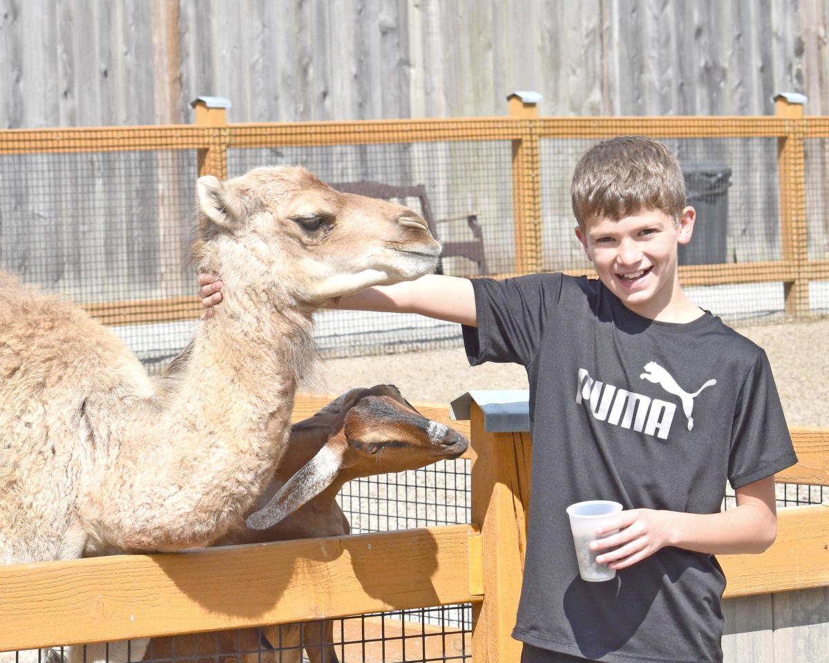Animal Parks & Zoos in Laurel Highlands Wildlife Parks