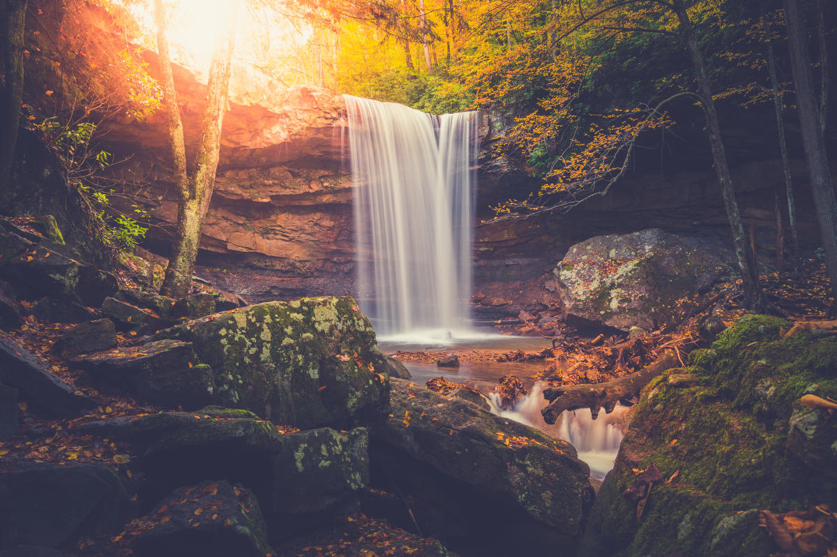 Top Things to Do in Ohiopyle State Park, Laurel Highlands