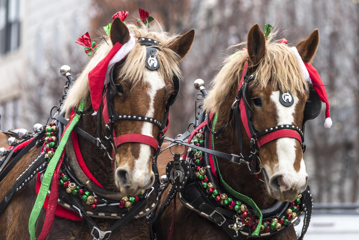 Lawrence Christmas Parade 2022 Lawrence Old Fashioned Christmas Parade