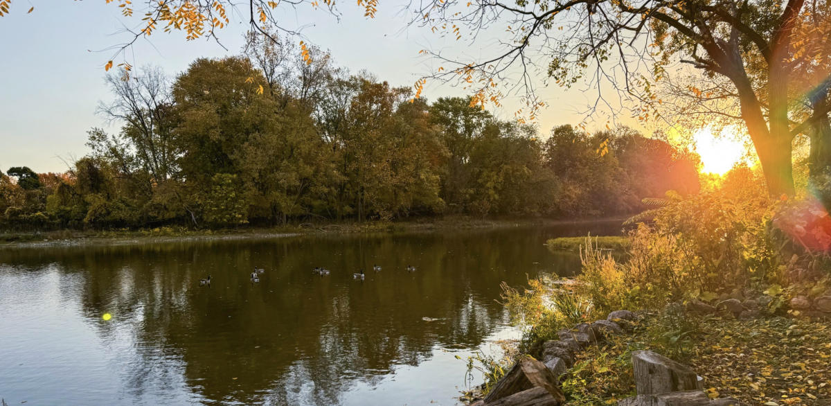 Raisin River