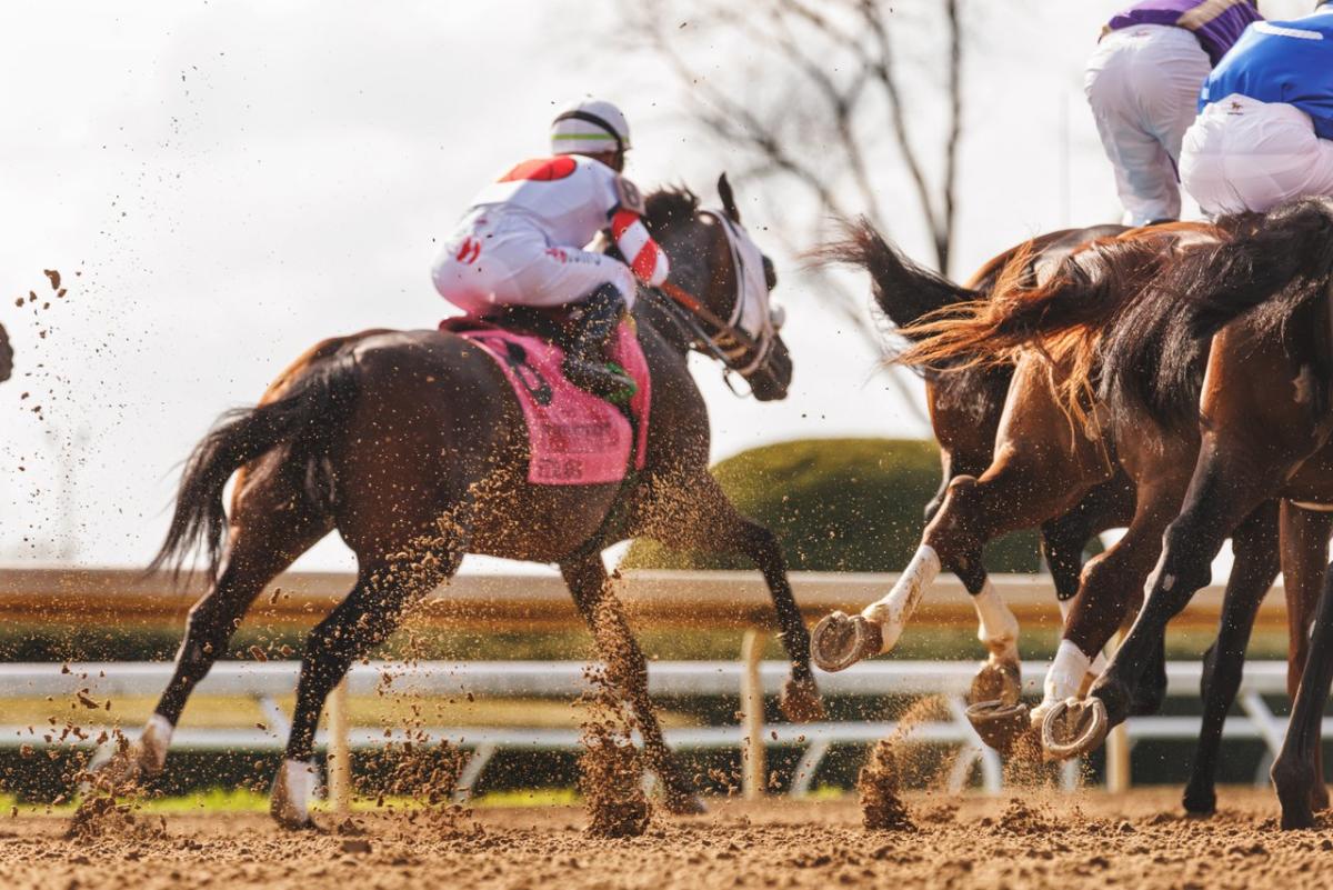 Keeneland’s Guide to Keeneland