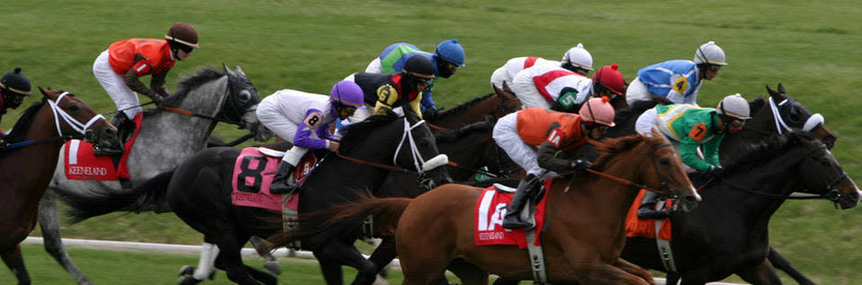 Suggested Lexington Ky Itineraries Plan Your Vacation