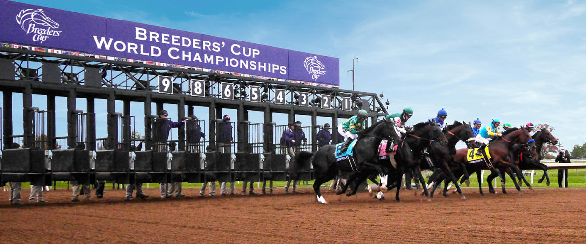 The Breeders’ Cup Guide to Lexington