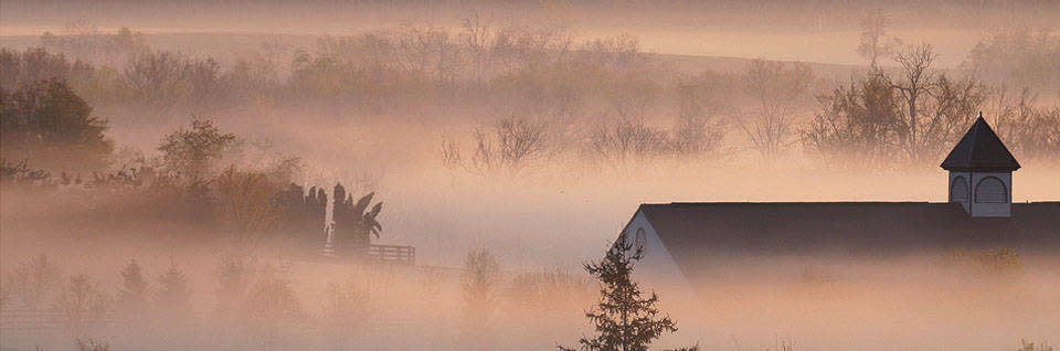 Bed And Breakfasts In Lexington S Bluegrass Region