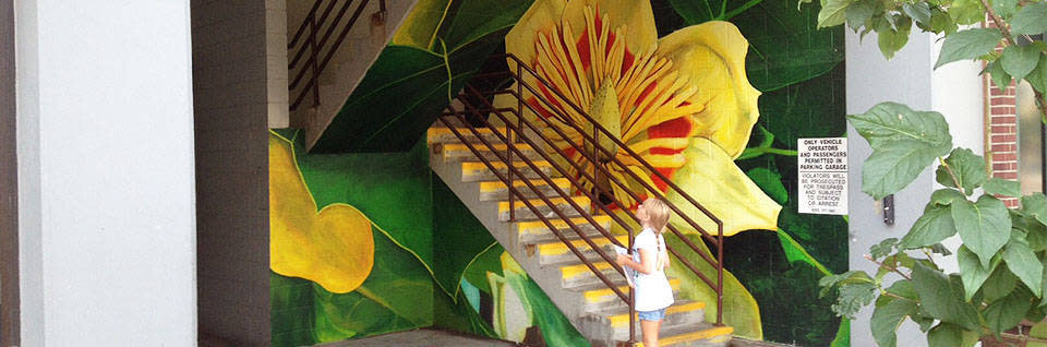 Discover Murals In The Horse Capital Of The World Lexington Kentucky