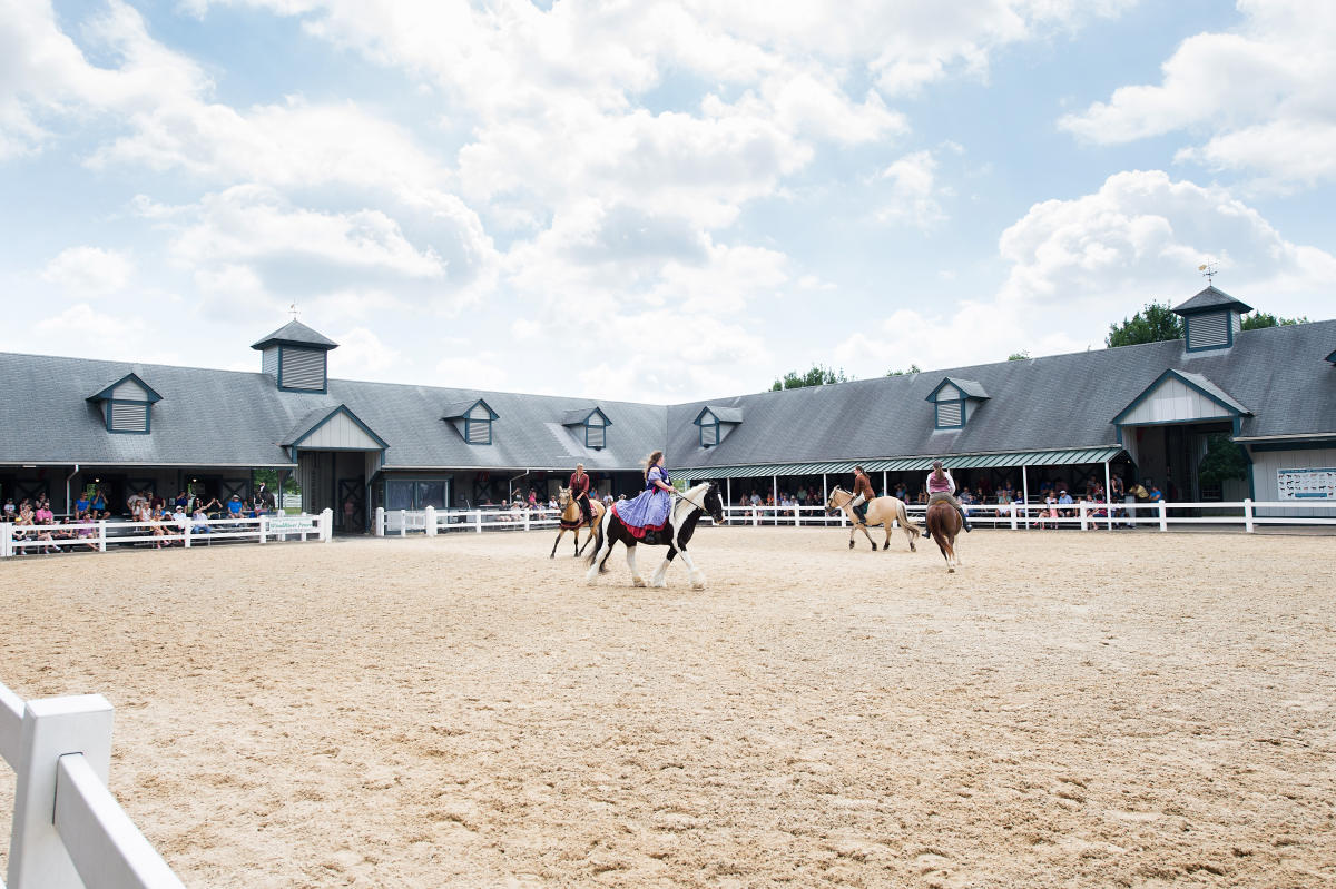 The Kentucky Horse Park in Lexington Horse Capital of the World