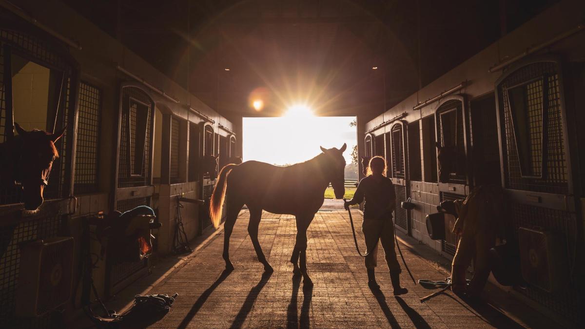 The Perfect Weekend Trip - Lexington, Kentucky