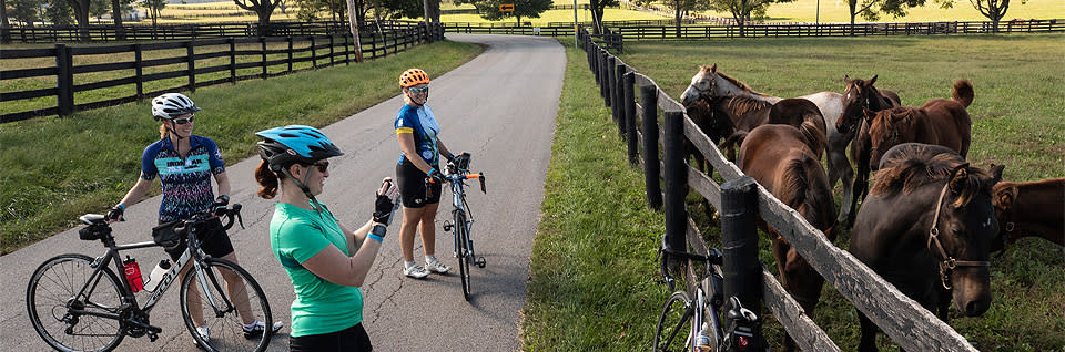 Lexington Bike Rentals Scheller S Fitness Cycling Louisville Lexington Clarksville