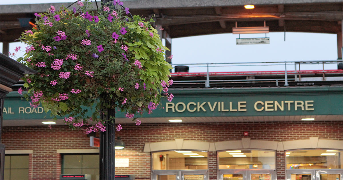 Art Flowers Rockville Centre Best Flower Site