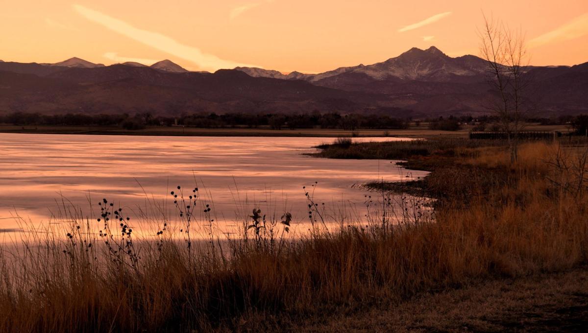 Featured in the News Longmont Colorado