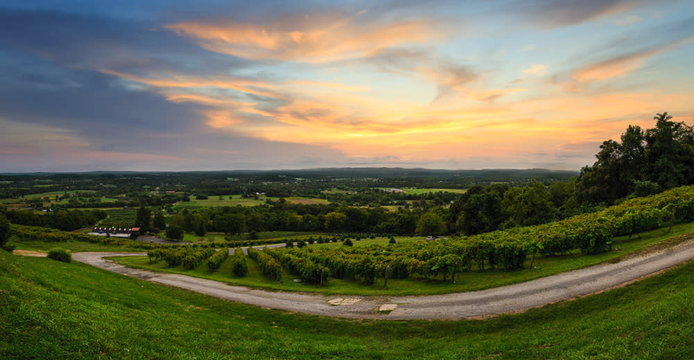 Best Vineyards, Hiking & More Visit Historic Bluemont, Virginia