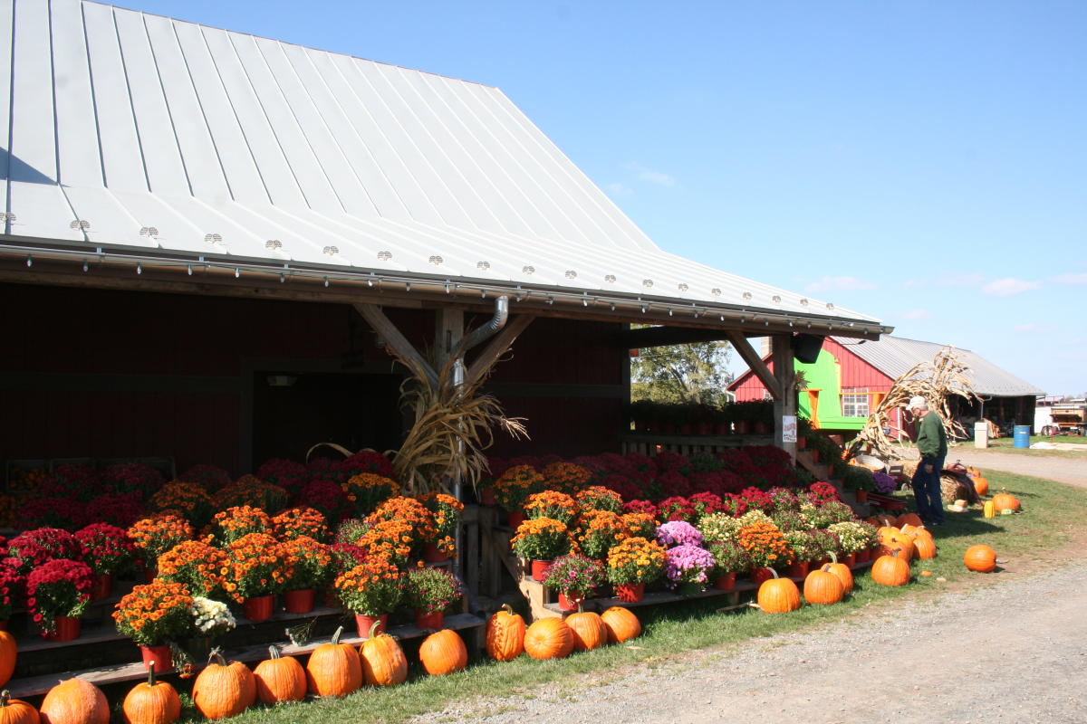 Best Fall Festivals in Loudoun County, Virginia