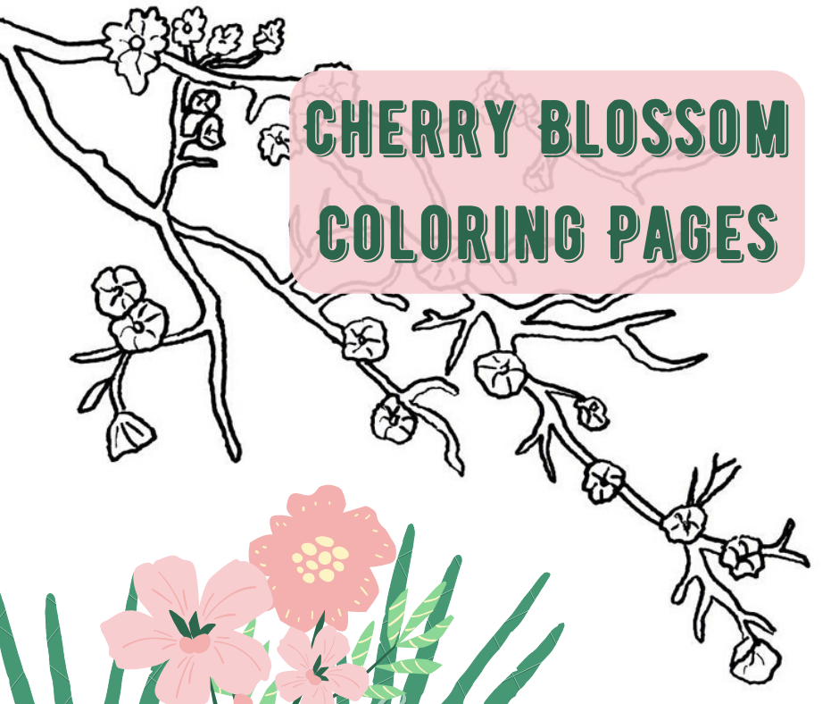 Cherry Blossom Coloring Pages