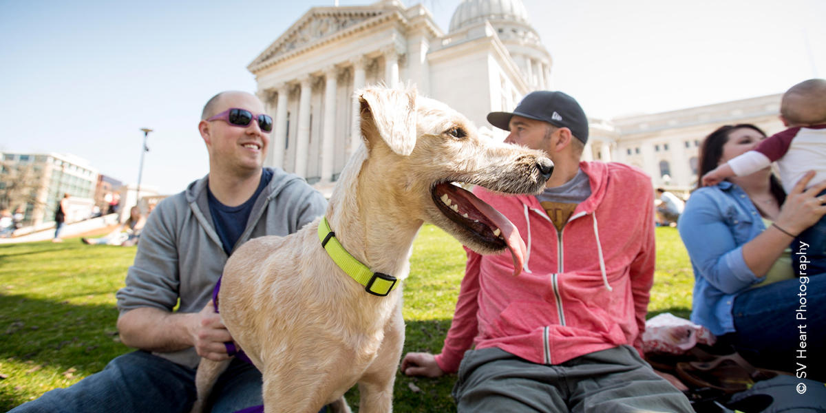 Pet Friendly Hotels in Madison, WI Destination Madison
