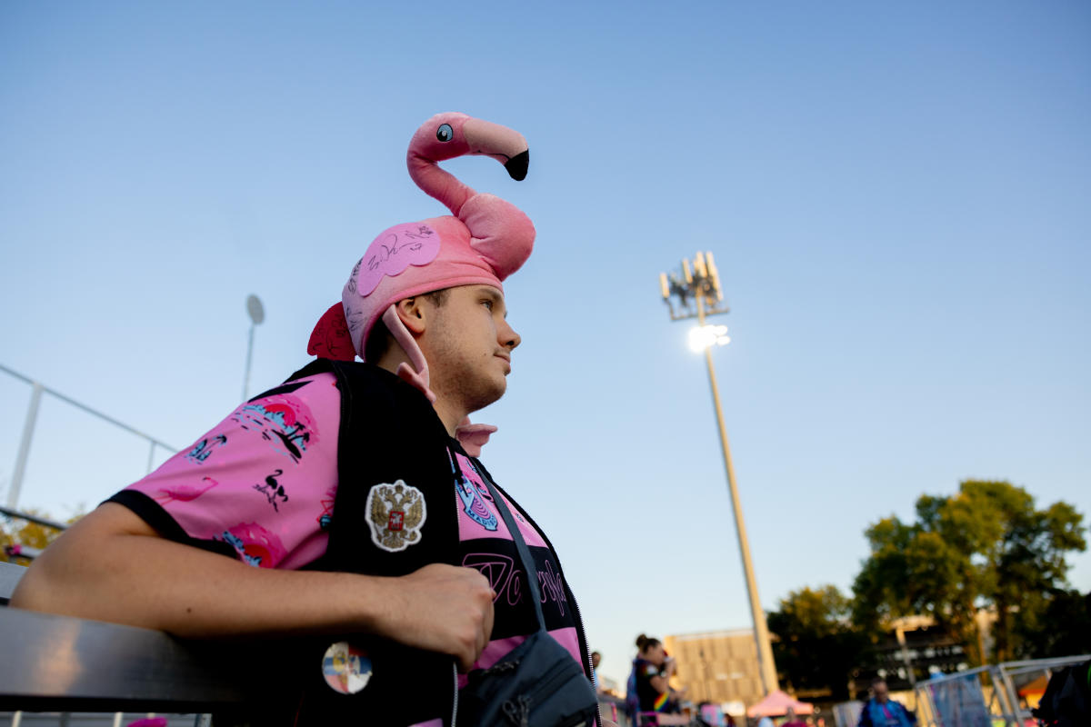Why Madison, WI is Obsessed With Flamingos