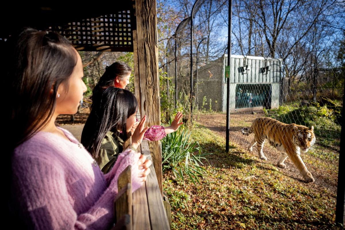 Henry Vilas Zoo Destination Madison