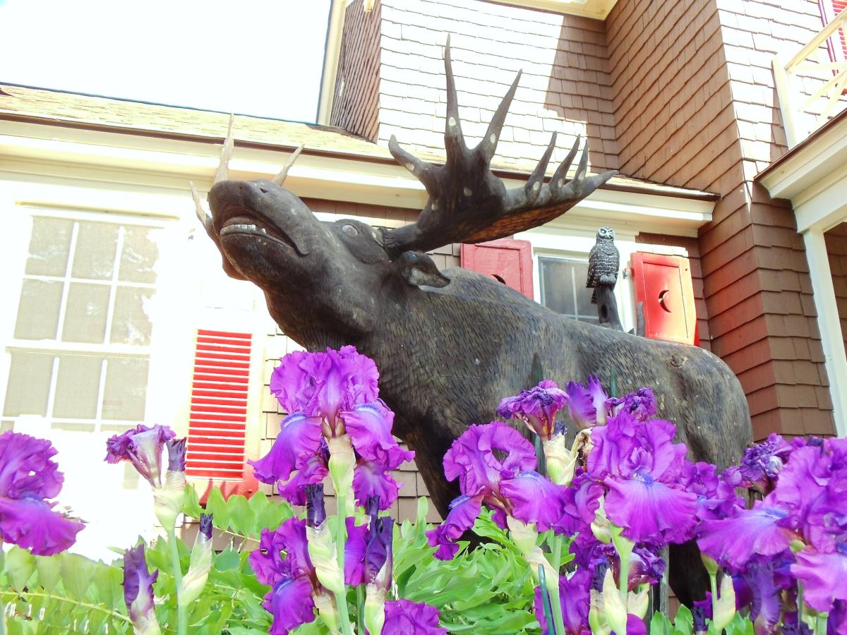 Professional Services Maine Highlands Bangor Katahdin