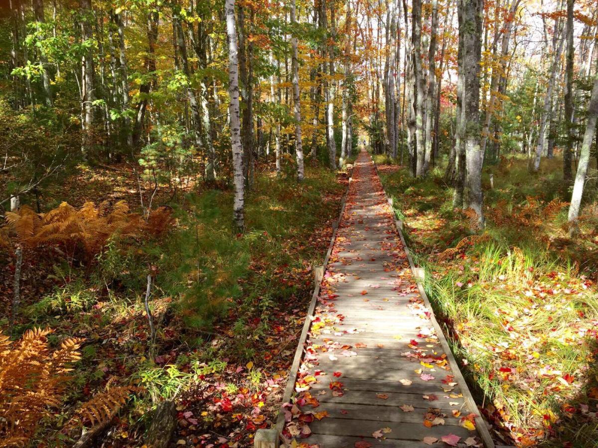 Fall Foliage Maine Tourism Association