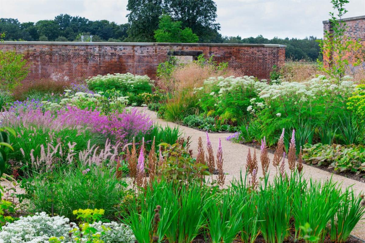 RHS Garden Bridgewater celebrates first anniversary