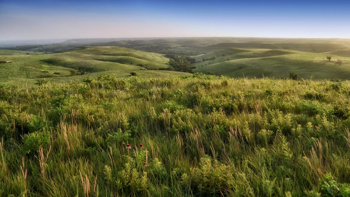 Flint Hills Manhattan Convention Visitors Bureau