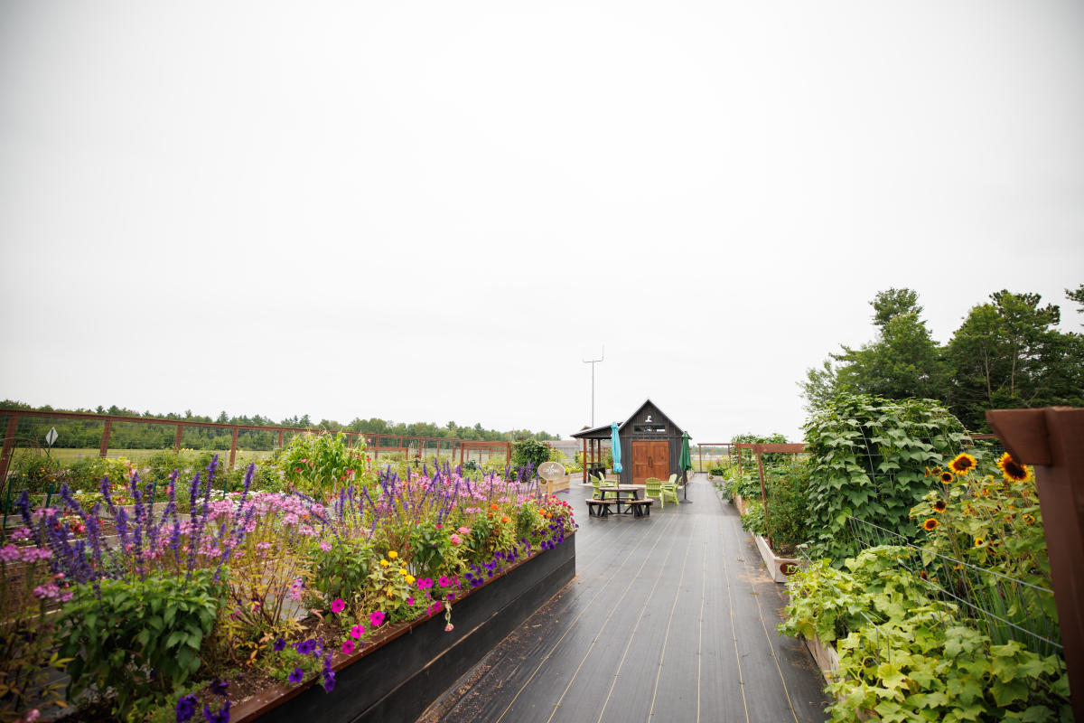 Outdoor things to do near me