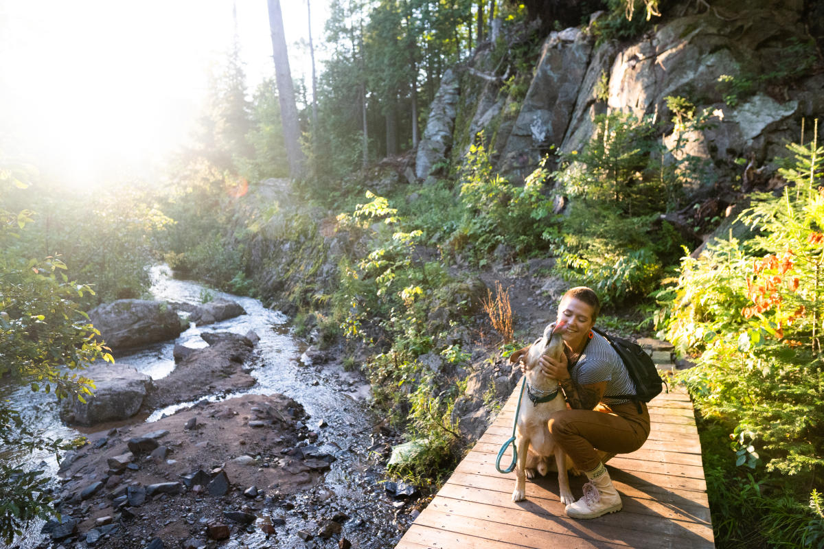 se permiten perros en sugarloaf marquette mi