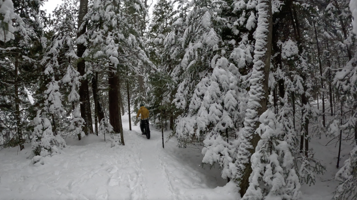 Fat Tire Biking in Marquette