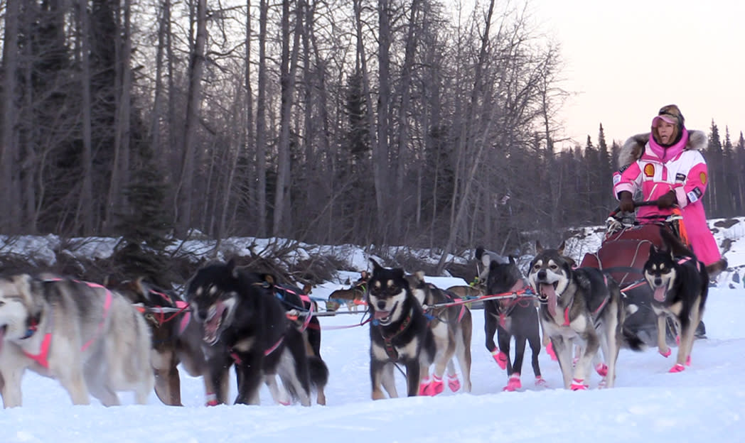 Iditarod 2022 Schedule Iditarod Trail Sled Dog Race Starts March 6, 2022 | Mat-Su Cvb