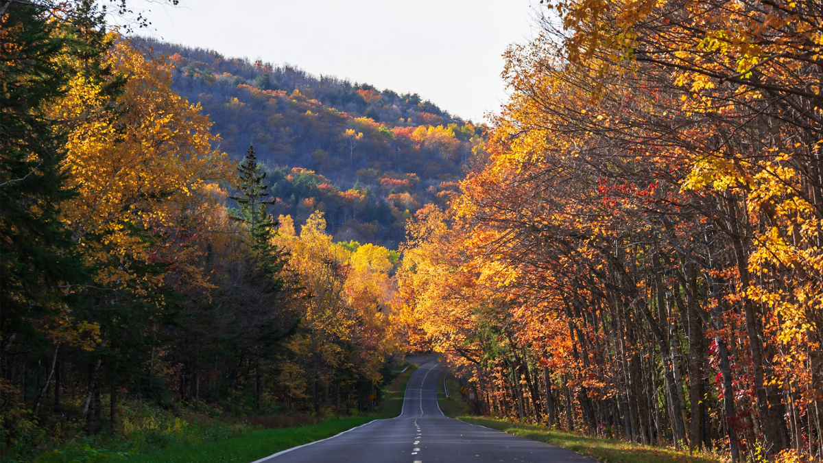 Voted 1 Fall Foliage Destination Upper Peninsula