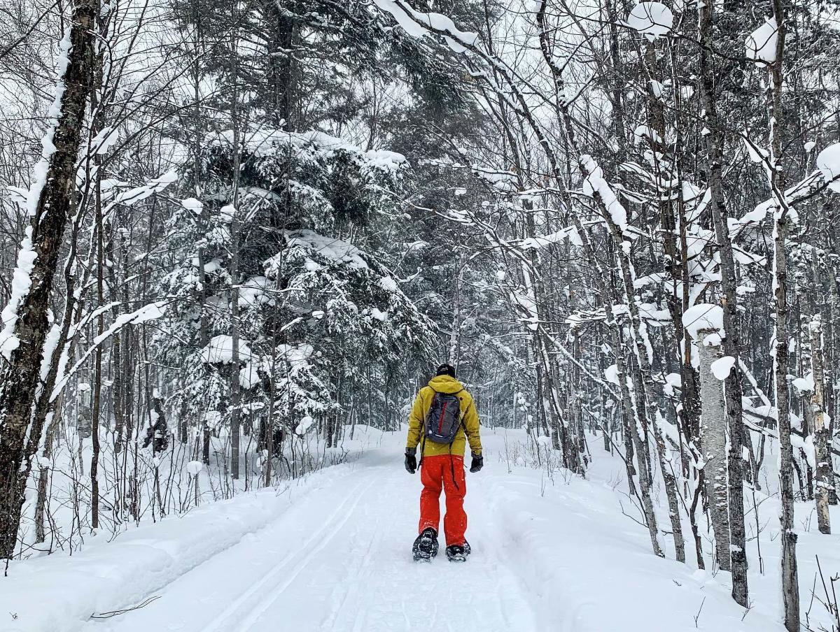 Snowshoeing at Its Best! Upper Peninsula