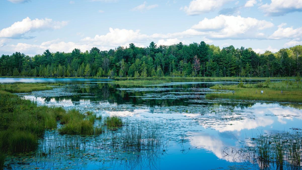 Iron County UP Michigan Upper Peninsula