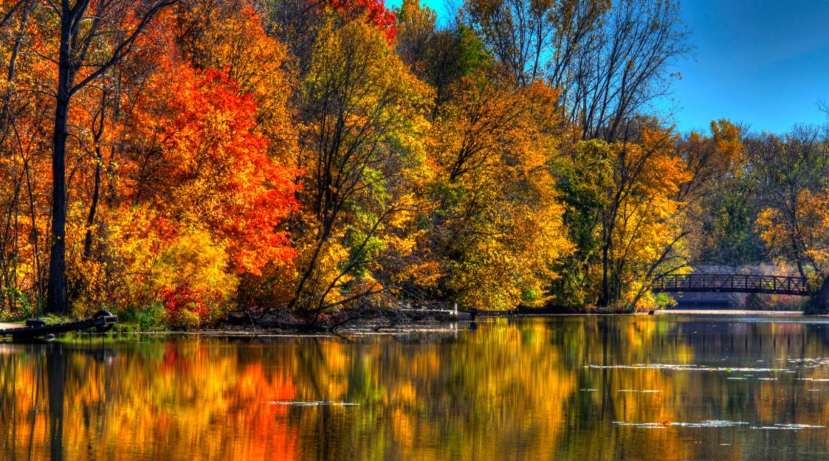 Best Instagram Spots in Minneapolis Northwest for Fall Color