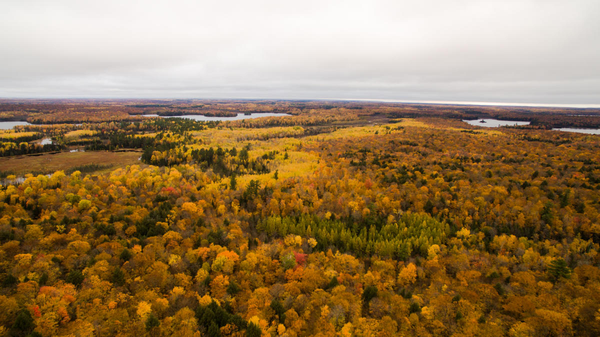 Things to Do in Minocqua in October and November