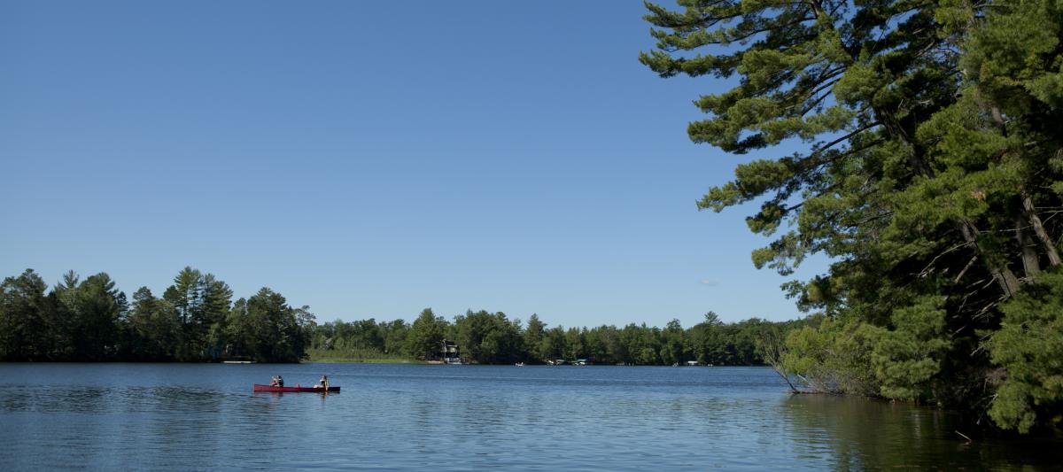 Minocqua Web Cams - Minocqua, Woodruff, and Arbor Vitae Area