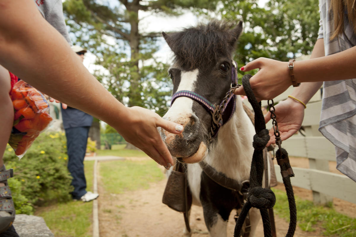 Horseback Riding in Minocqua, WI | Rock Falls Riding Stable