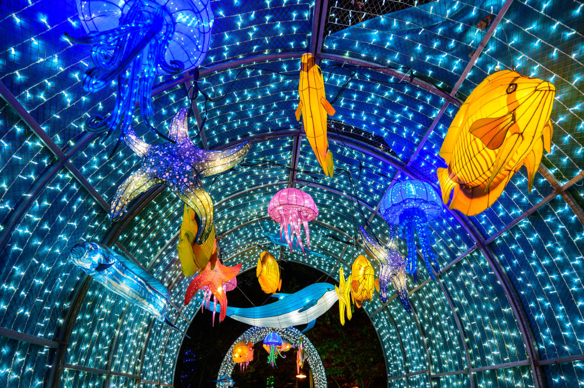 Gulf Coast Chinese Lantern Festival | Things to do in Mobile