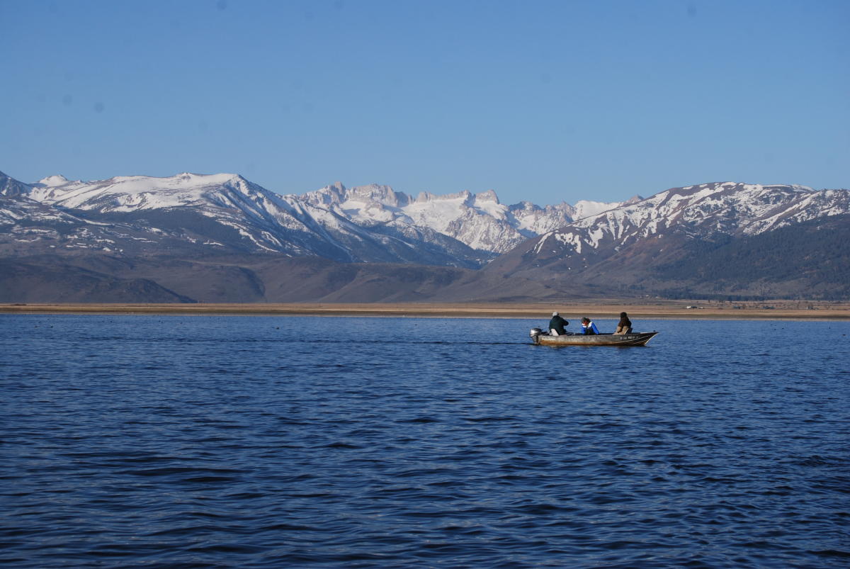 Bridgeport Reservoir Visit Mono County