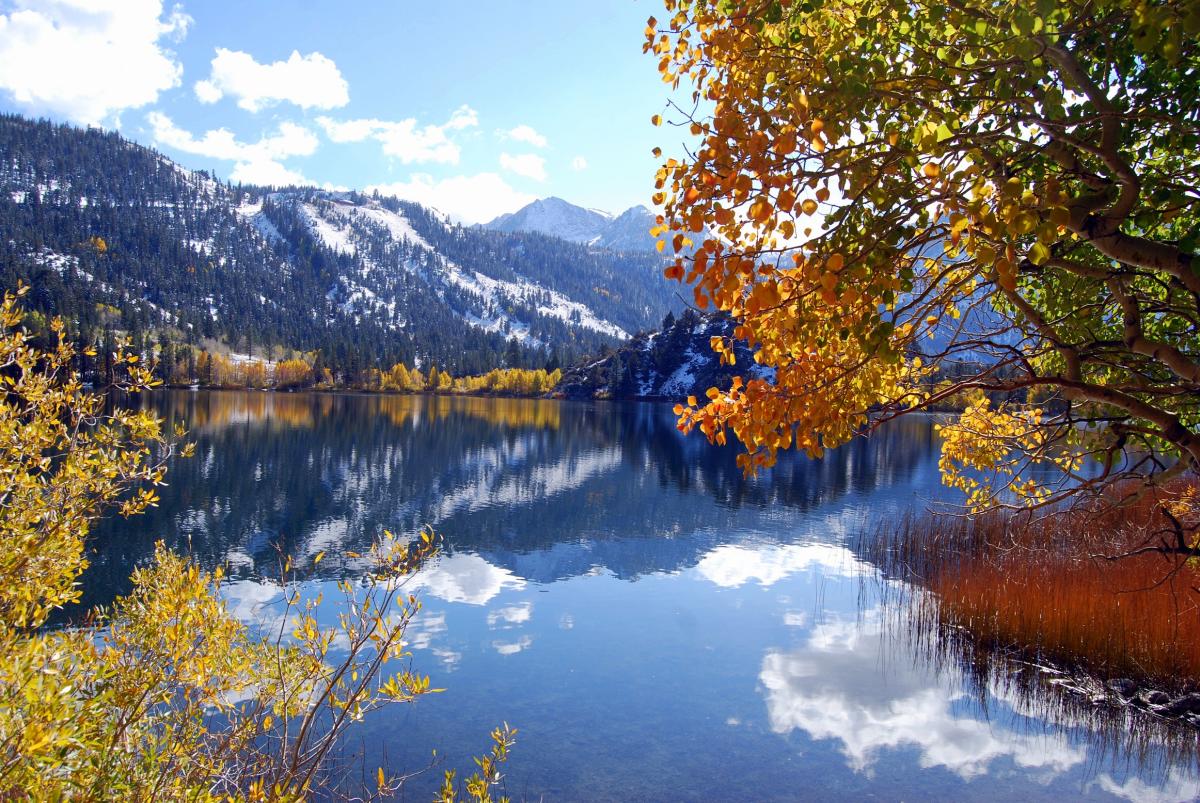 Gull Lake Fishing, Hiking and Camping Visit Mono County