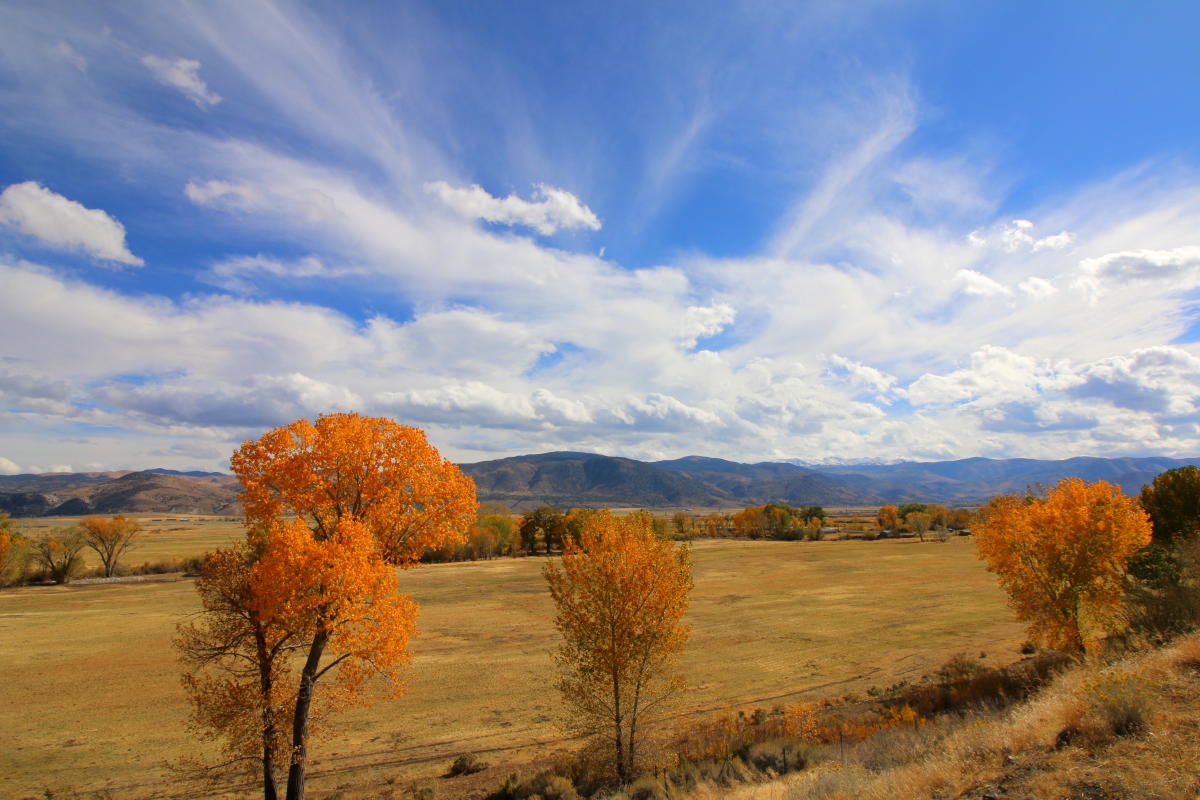 Walker CA Visit Mono County